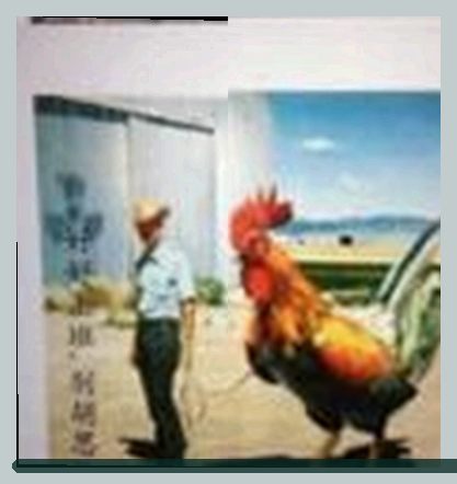 吴磊